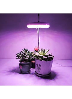 Generic Indoor Small Plant Light Full Spectrum LED Plant Light Desktop Mini Plant Light Height Adjustable Plant Light with IPL & Sunlight in Single & Double Lamp Holder  - Image 2
