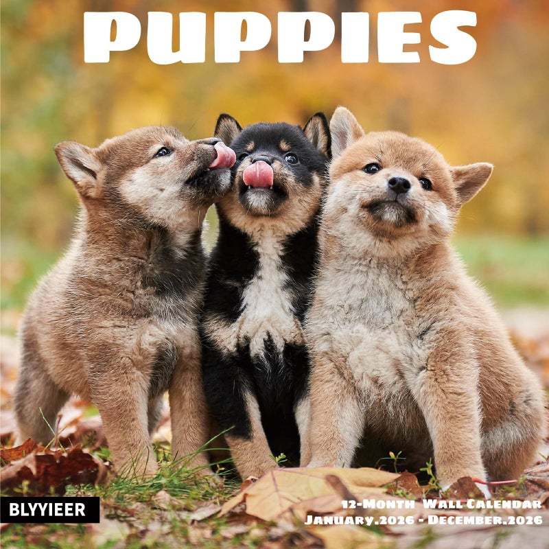 BLYYIEER 2026 Wall Calendar,Calendar 2026,Puppy Monthly Wall Calendar, 12" x 24" Open,Family Planner Calendar Organizer with Cute Puppy Images, for Puppies Dogs Lovers - Image 1