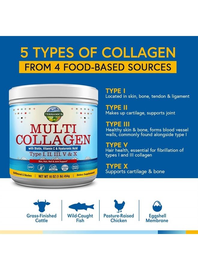 Terranics Multi Collagen Powder Type I II II V X with Biotin Vitamin C Hyaluronic Acid, Paleo & Keto Friendly, Skin Hair Nail & Joint Support, Bovine Marine Chicken & Eggshell, Non-GMO Gluten-Free, Unflavored - Image 2