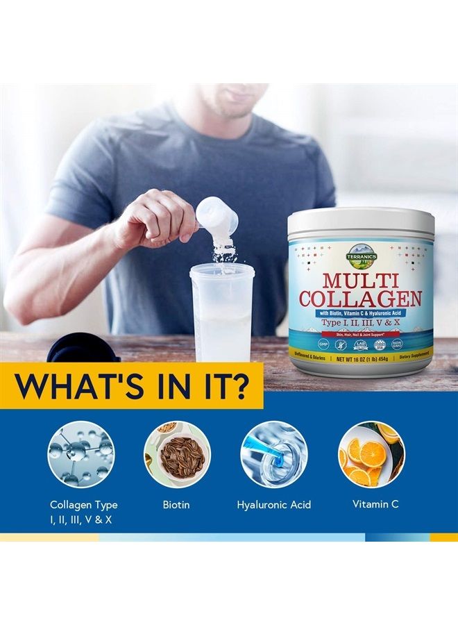 Terranics Multi Collagen Powder Type I II II V X with Biotin Vitamin C Hyaluronic Acid, Paleo & Keto Friendly, Skin Hair Nail & Joint Support, Bovine Marine Chicken & Eggshell, Non-GMO Gluten-Free, Unflavored - Image 1