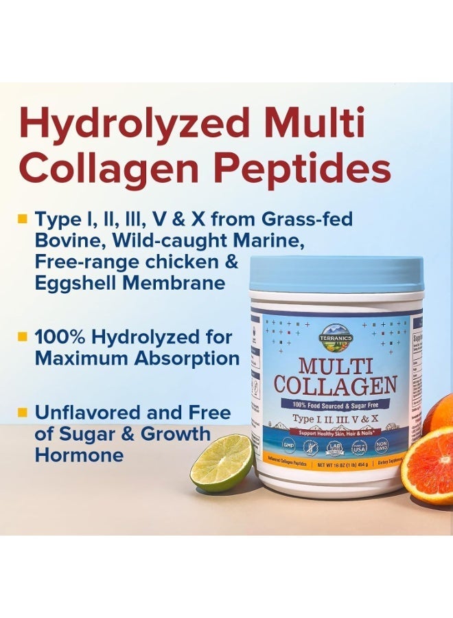 Terranics Multi Collagen Peptides, Type I II III V X Hydrolyzed Collagen 16oz - Image 3