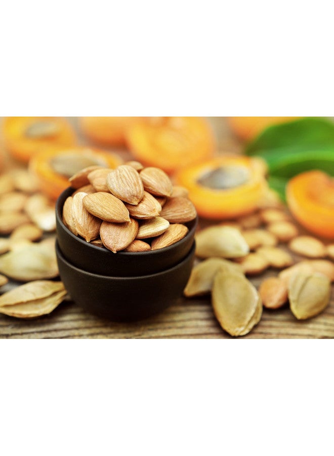 Organic Traditions Organic Traditions Bitter Apricot Kernels - 8oz - USDA Organic Certified - Apricot Seeds  - Image 4