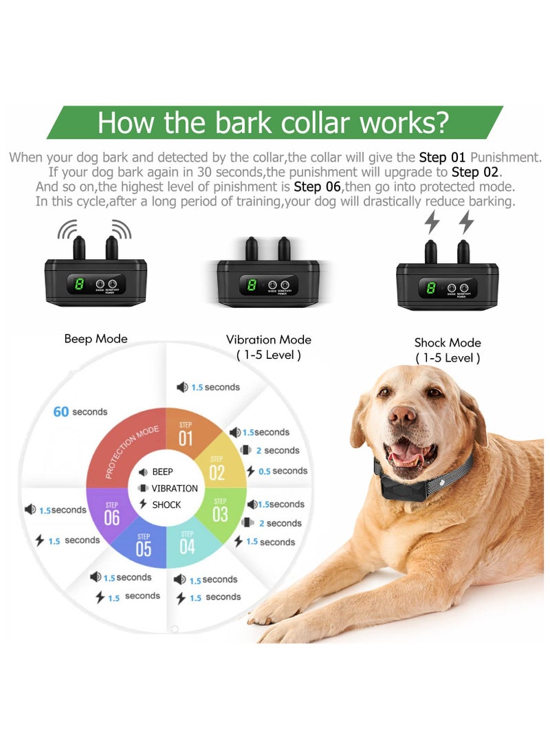 SYOSI طوق نباح للكلاب - طوق تدريب مكابح قابل لإعادة الشحن بمنفذ USB-C مع 5 مستويات حساسية قابلة للتعديل، طوق صدمة اهتزاز غير ضار، جهاز مضاد للنباح للكلاب الصغيرة والمتوسطة والكبيرة (رمادي) - Image 3