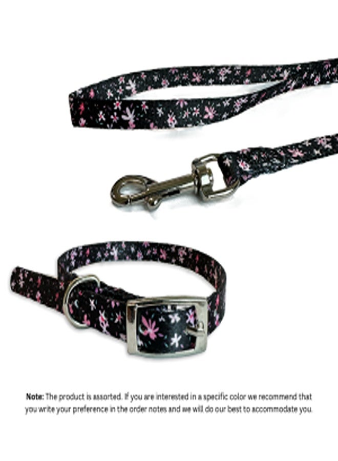 بوبي مجموعة ديزي نايلون لسلسلة الكلاب وطوقها، بألوان متنوعة