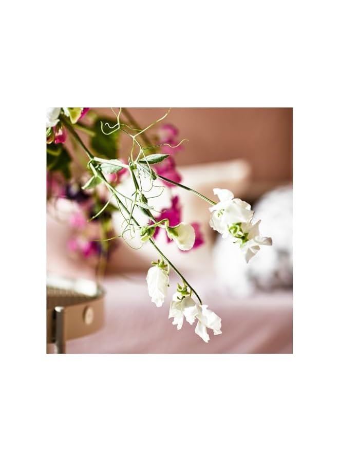 The Bros Premium Quality Scented Tealight Candles,Home Decor,SPA Candles,Party Candles-3.5 Hours Long Burning Point-Pack of 30 (Sweet Pea Purple) - Image 2