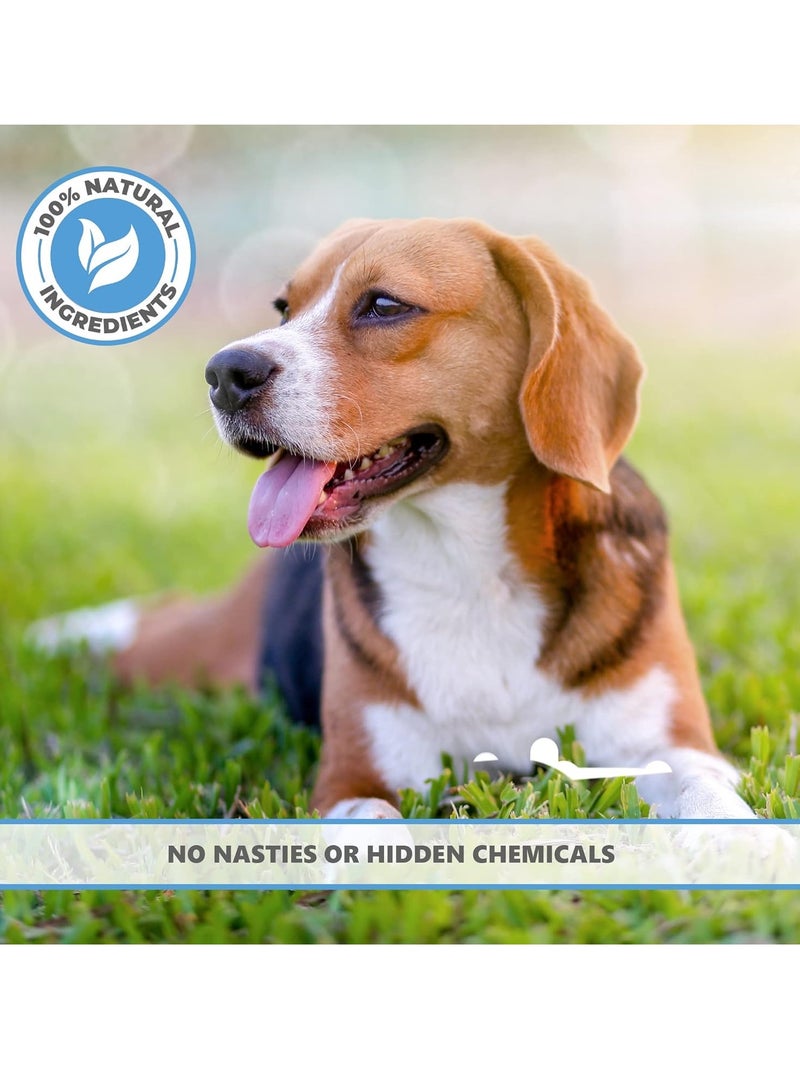 الحيوانات الأليفة أنقى مكافآت دعم الهضم للقطط والكلاب خالية من الحبوب الطبيعية تسهيل الهضم قطع مضغ من الألياف الحيوية والبريبايوتيك، وجبة خفيفة من الطعام الخام المضاد للحساسية لصحة الأمعاء والمعدة الحساسة للحيوانات الأليفة - Image 3