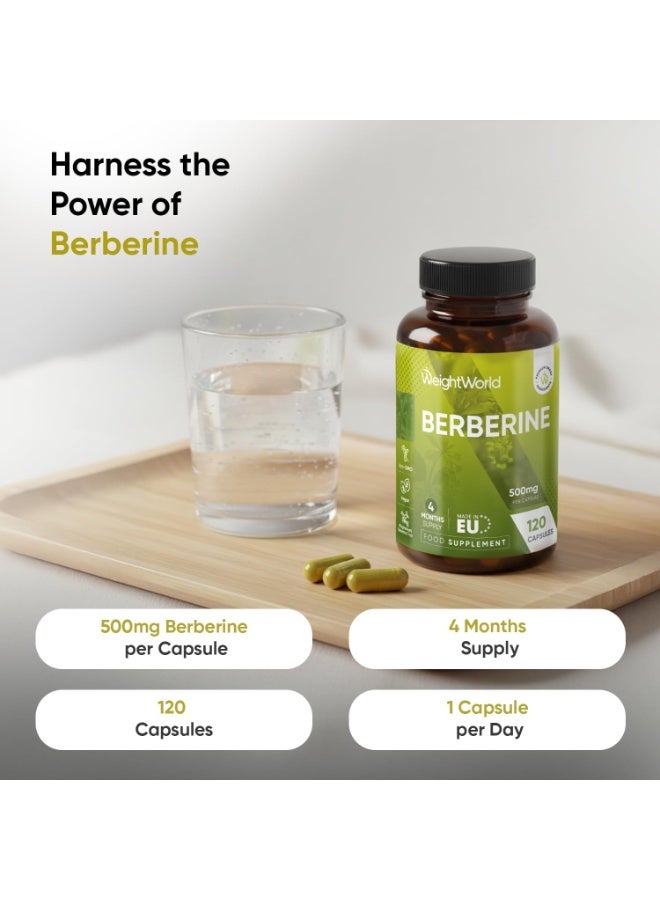 WeightWorld Berberine Supplement - 500mg per Capsule - 4 Months Supply - 120 Capsules - Stable Berberine Form- 1 per Day - Vegan-Friendly & Non-GMO - Sourced from Berberis Aristata - Image 2