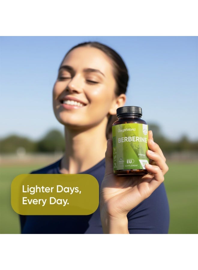 WeightWorld Berberine Supplement - 500mg per Capsule - 4 Months Supply - 120 Capsules - Stable Berberine Form- 1 per Day - Vegan-Friendly & Non-GMO - Sourced from Berberis Aristata - Image 3