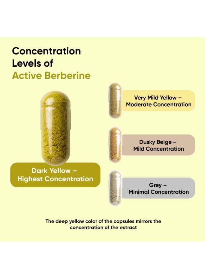WeightWorld Berberine Supplement - 500mg per Capsule - 4 Months Supply - 120 Capsules - Stable Berberine Form- 1 per Day - Vegan-Friendly & Non-GMO - Sourced from Berberis Aristata - Image 4