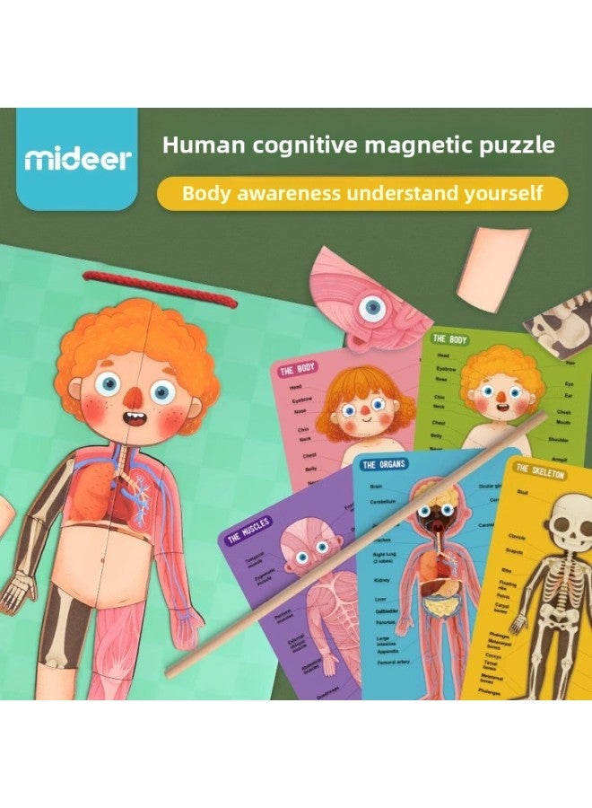 Mideer Milu Mengshi Early Education Children's Puzzle Advanced Puzzle Boys And Girls Baby Toy 0-3-6 Years Old-Color:Happy Farm - Image 3