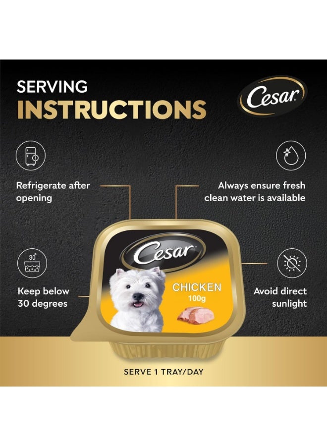 Cesar Chicken Dog Wet Food Complete & Balanced Dog Nutrition 6 Pcs X 100G - Image 5