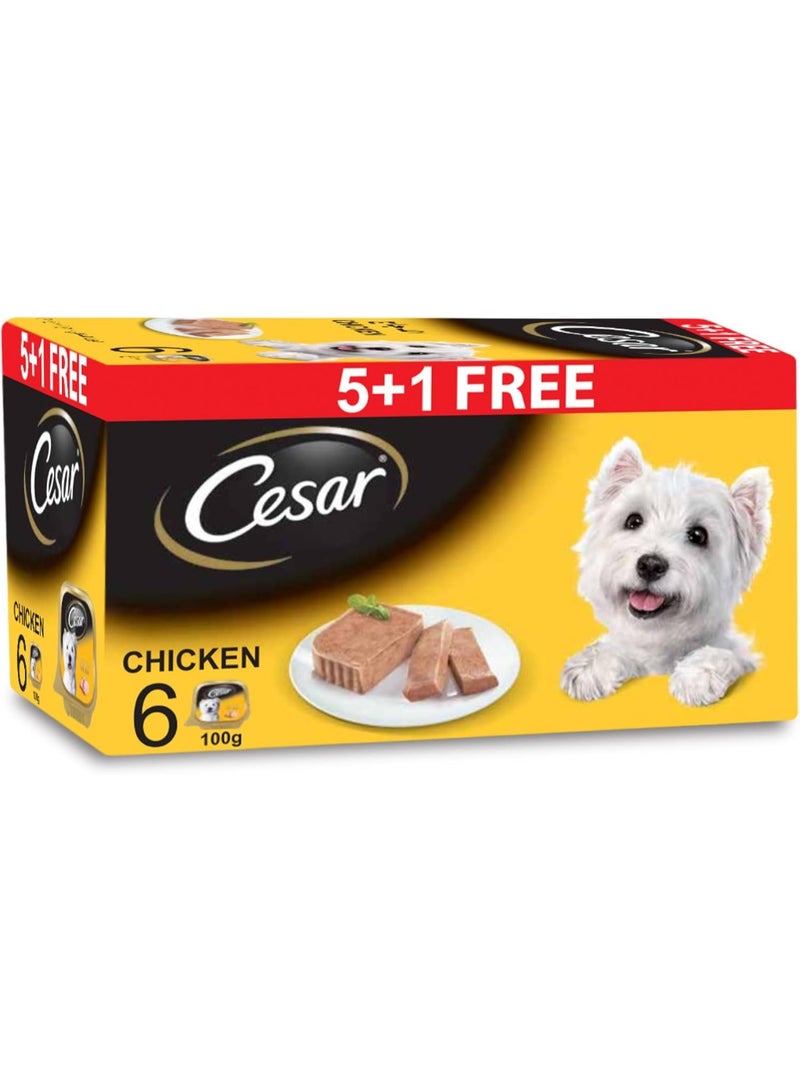 Cesar Chicken Dog Wet Food Complete & Balanced Dog Nutrition 6 Pcs X 100G - Image 1