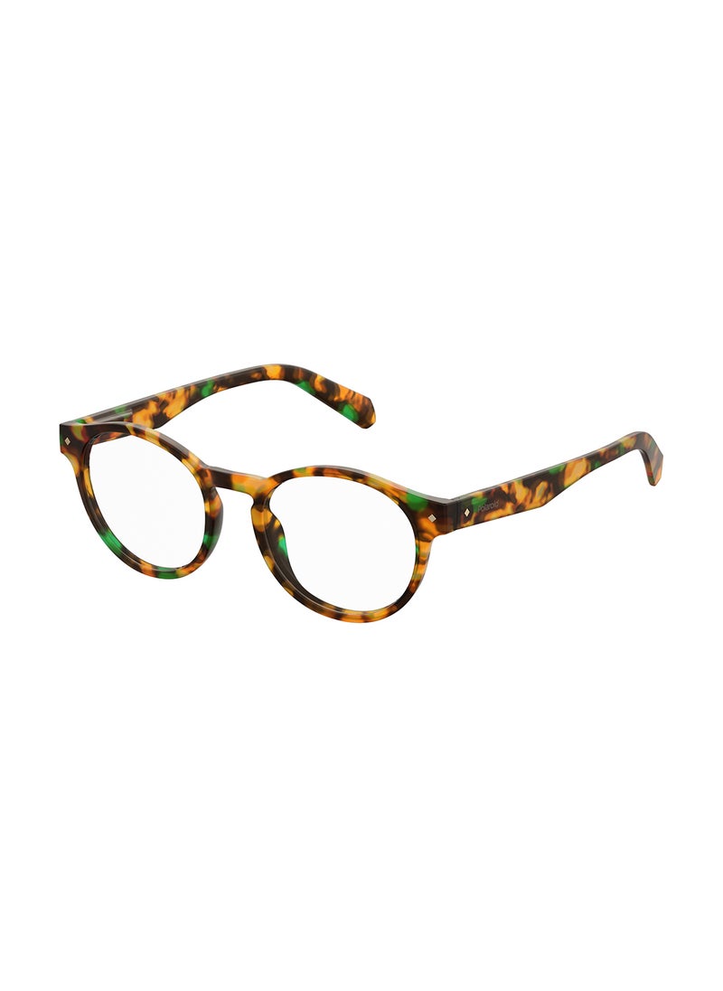 Polaroid - Unisex Oval Reading Glasses - Pld 0021/R Havana Honey 49 - Lens Size: 49 Mm - Image 1