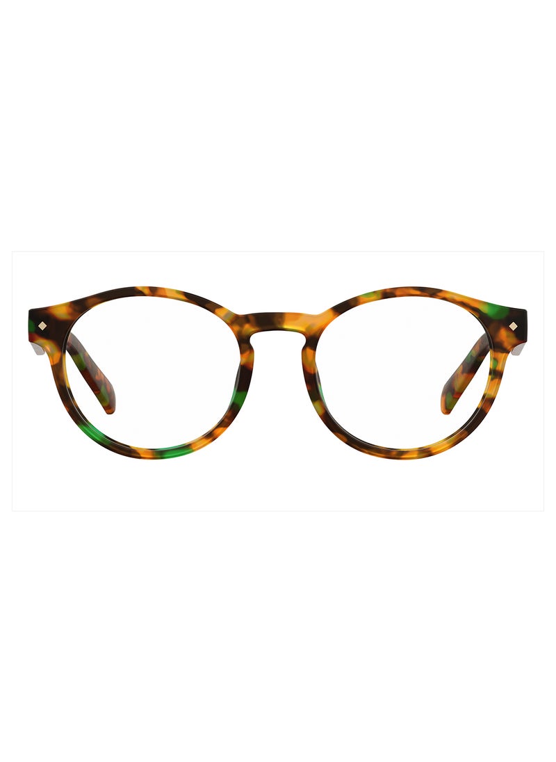 Polaroid - Unisex Oval Reading Glasses - Pld 0021/R Havana Honey 49 - Lens Size: 49 Mm - Image 1