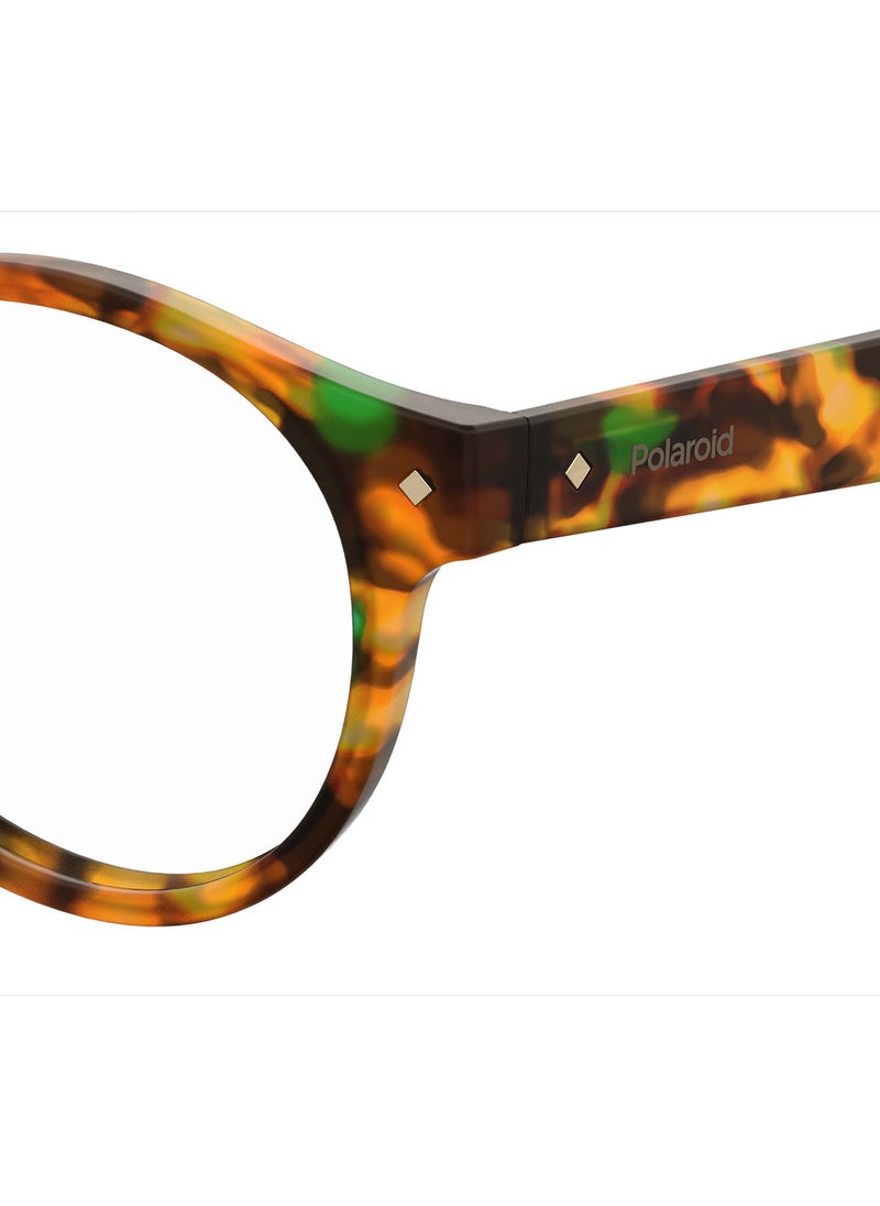 Polaroid - Unisex Oval Reading Glasses - Pld 0021/R Havana Honey 49 - Lens Size: 49 Mm - Image 1