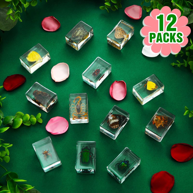 Macarrie 12 Pcs Insect Specimens, Bugs Collection Real Specimens of Butterflies and Beetles Made of Resin for Kids Classroom Science Education Animal Collection, Bug Preserved, Biology(Butterfly) - Image 2