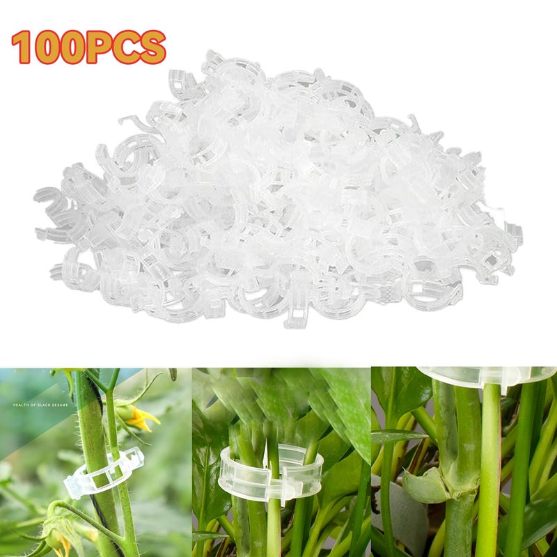 ميريديان Meridian 100 مشبك دعم نباتات أبيض – – مناسب للطماطم والكروم والنباتات في الحديقة - Image 2