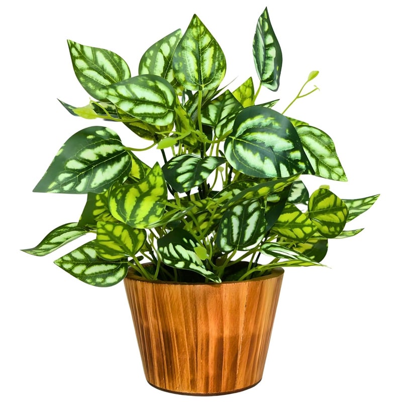 fancymart Artificial Plant Leaves in Wooden Pot Perfect Potted Decoration for Home Living Room & Office Spaces Décor Height - 26cm - Image 1