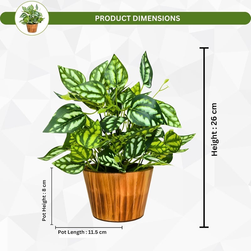 fancymart Artificial Plant Leaves in Wooden Pot Perfect Potted Decoration for Home Living Room & Office Spaces Décor Height - 26cm - Image 4