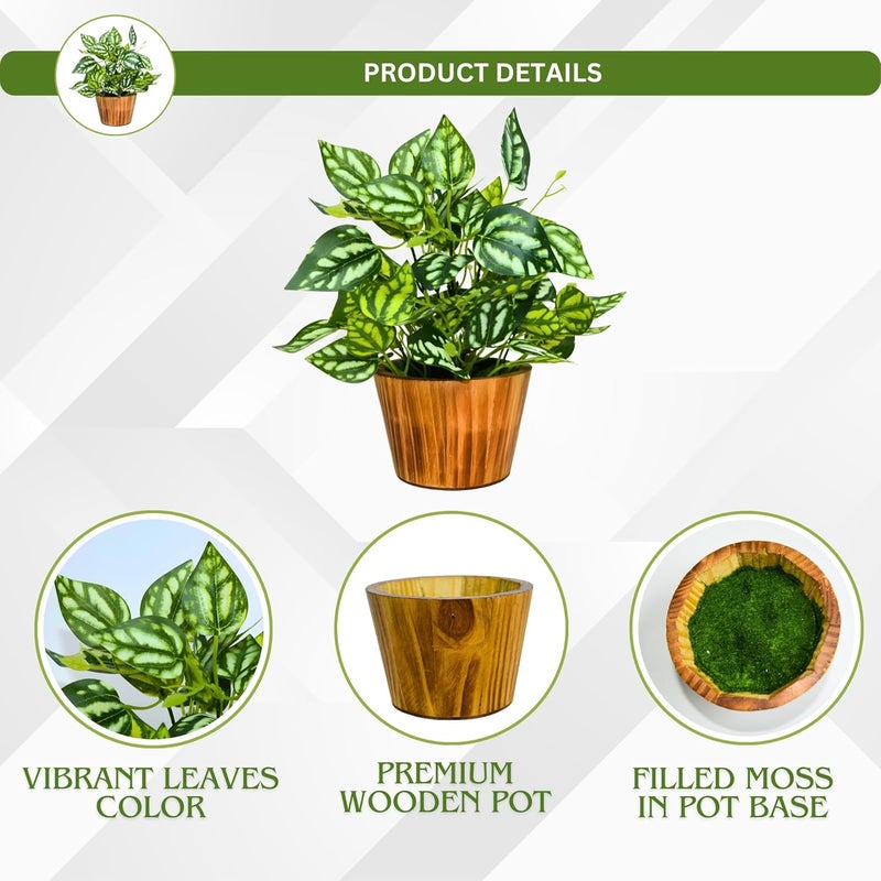 fancymart Artificial Plant Leaves in Wooden Pot Perfect Potted Decoration for Home Living Room & Office Spaces Décor Height - 26cm - Image 3