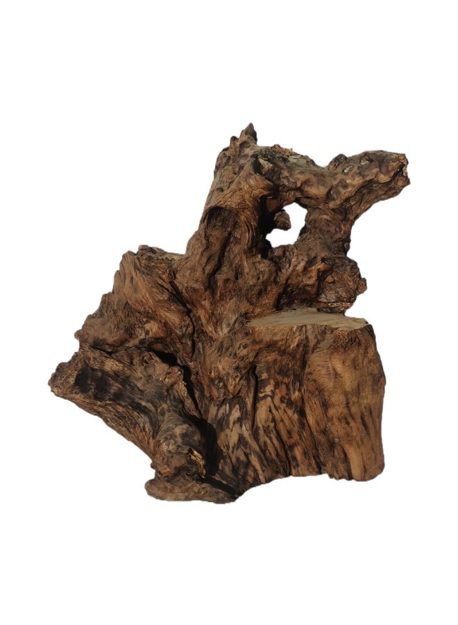 Natural Driftwood Teak Root Sculpture Handmade Solid Wood Accent Piece Unique Organic Furniture Base Rustic Home & Garden Decor - Image 1