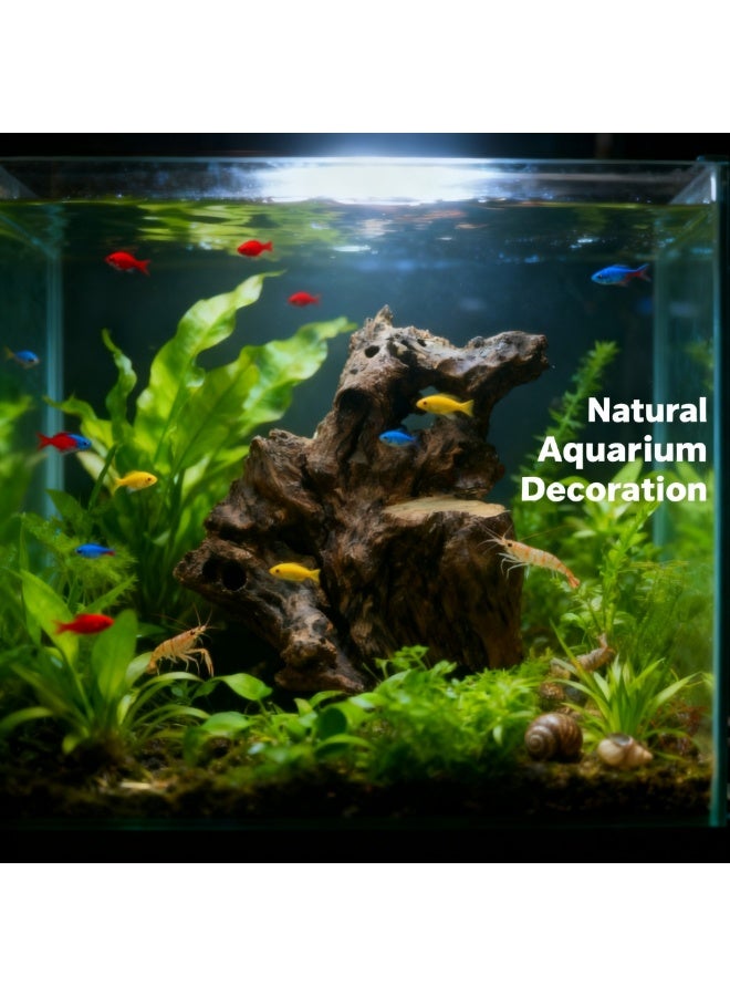 Natural Driftwood Teak Root Sculpture Handmade Solid Wood Accent Piece Unique Organic Furniture Base Rustic Home & Garden Decor - Image 5