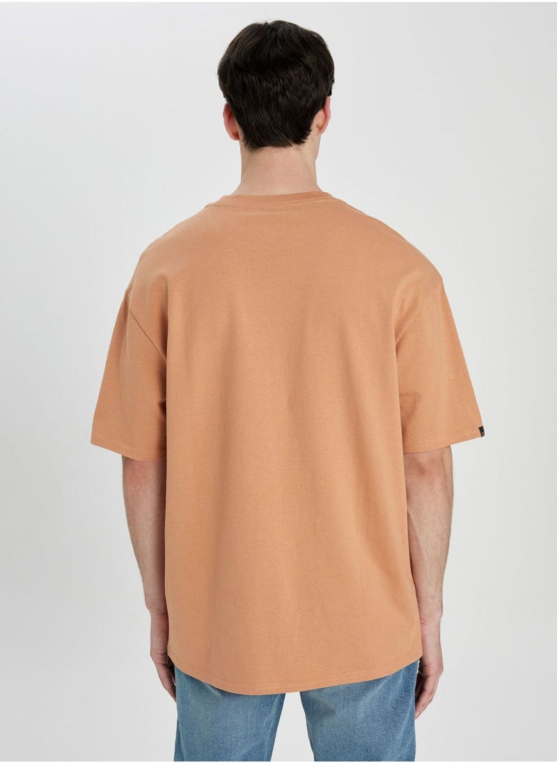 DeFacto Comfort Fit Crew Neck Printed T-Shirt  - Image 3
