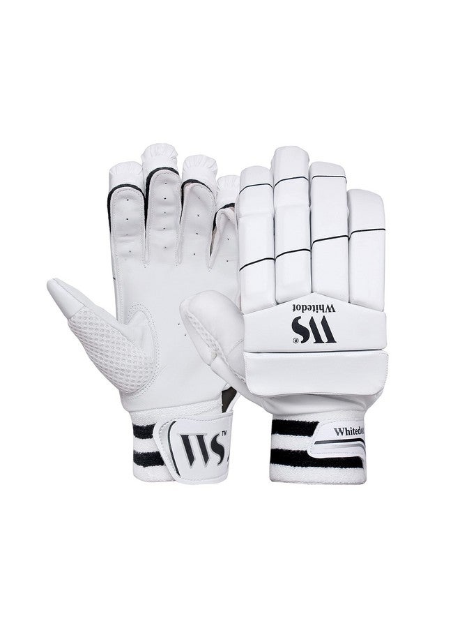 WHITEDOT SPORTS Whitedot Falcon Kashmir Willow Cricket Combo Kit Set, Suitable for Youth/Medium, Right Hand - Image 5