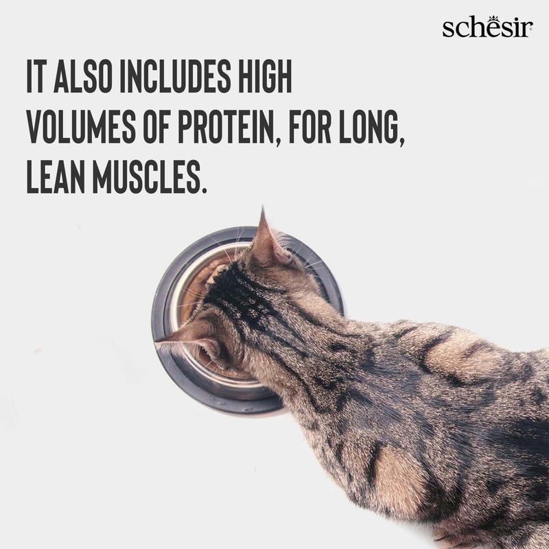 Schesir Tuna & Chicken Wet Cat Food 85g + Kittos Salmon Rings 35g High Protein Combo for Cats Real Meat Tasty Wet Food + Irresistible Treats for All Breeds - Image 5