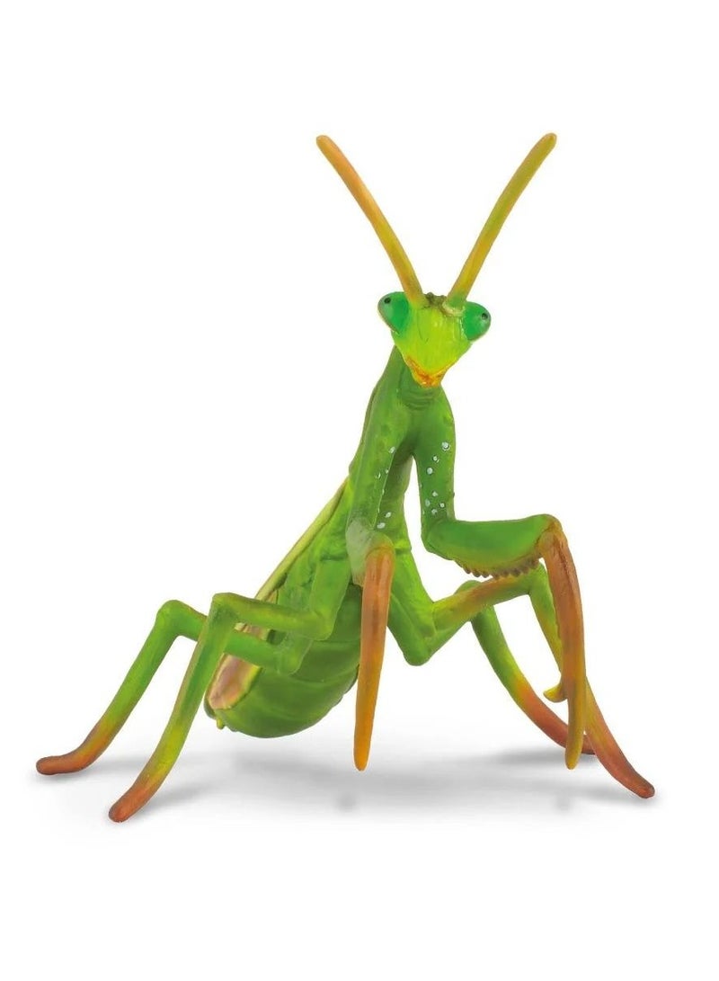 Collecta - Praying Mantis - 88351