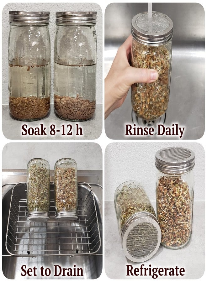 EcoPeaceful 2 Pack ONE-PIECE 316 Surgical Stainless Steel Sprouting Lids for Wide Mouth Mason Jar (Ball Kerr) - One-Piece- Strainer Mesh Lids - Rust-Proof - Image 5
