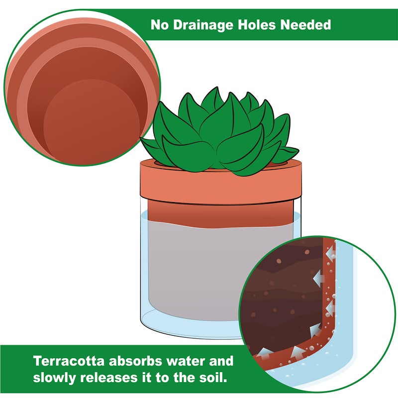 Phoenix Vine 4 Inch Self Watering Planter Pot, Terracotta Clay Pot with Glass Reservoir for Indoor Plants, Herbs, Flowers, Set of 4, 52-A-E-4 - Image 3