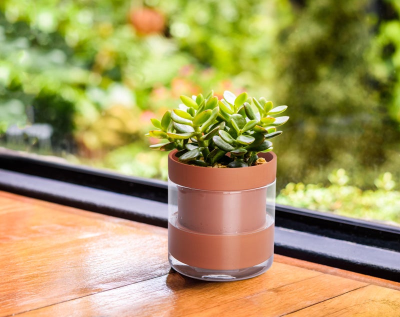 Phoenix Vine 4 Inch Self Watering Planter Pot, Terracotta Clay Pot with Glass Reservoir for Indoor Plants, Herbs, Flowers, Set of 4, 52-A-E-4 - Image 5