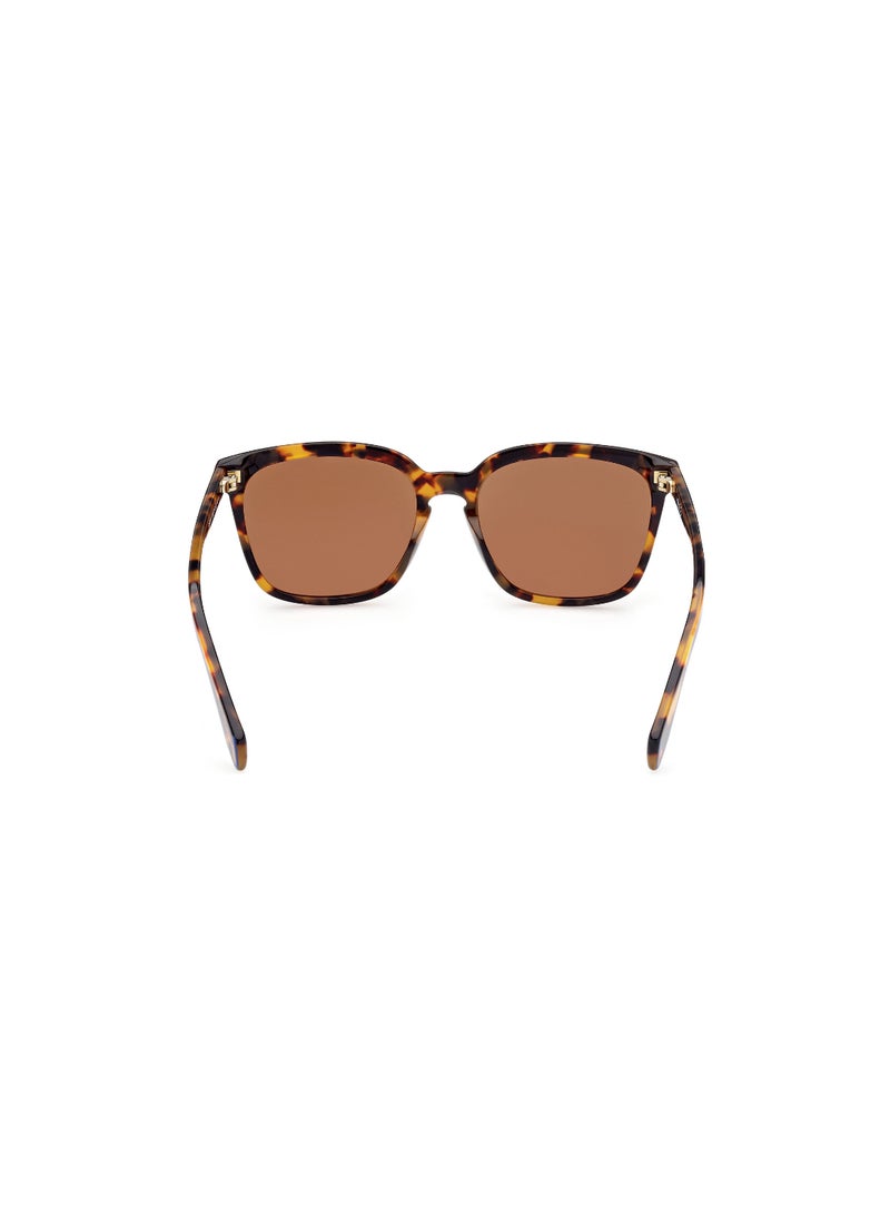 ADIDAS FULL RIM UNISEX RECTANGULAR BROWN ACETATE SUNGLASSES - Image 4