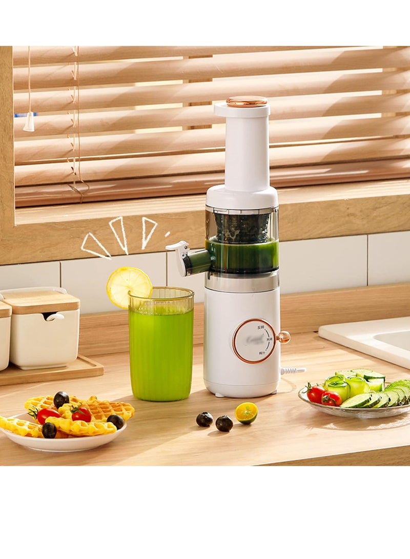FOCUS Mini Slow Juicer Screw Cold Press Extractor Patented Filter-free Electric Fruit - Image 3