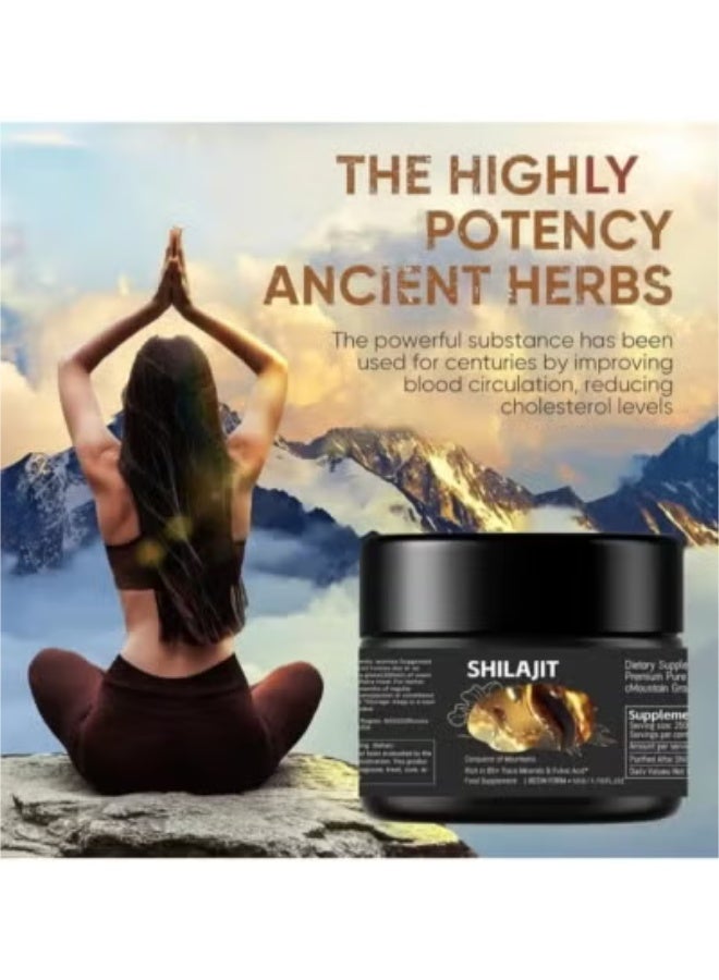 Shilajit RX Pure Himalayan Shilajit Resin High Potency Gold Grade for Men & Women| 75 Servings for Energy Boost & Immune Support, 85+ Trace Minerals, 75%+ Fulvic Acid - Image 2