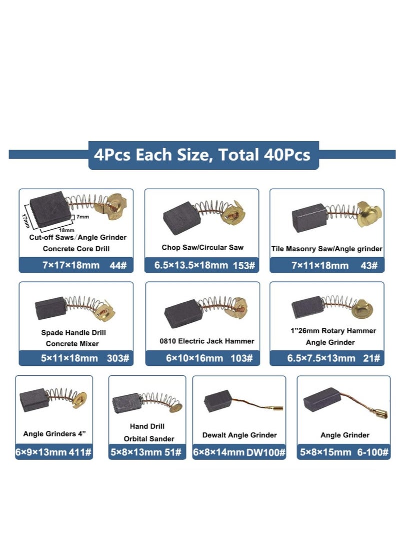 Yakumuz 40pcs 10 Sizes Electric Motor Carbon Brushes for Replacement Yakumuz Repair Power Tools and Motors Part Such as Electric Hammer Drills, Circular Saws, Angle Grinders - Image 4