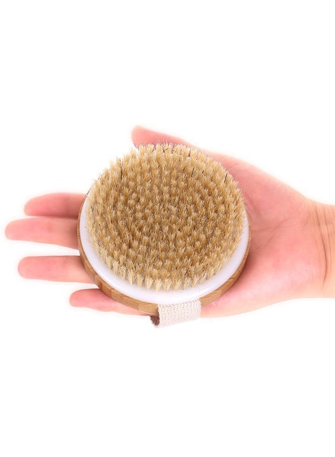 Jamal Dry Brushing Body Brush, Dry Skin Exfoliating Brush Body Scrub for Flawless Skin, Cellulite Reduction, Lymphatic Drainage and Blood Circulation Improvement - Image 4