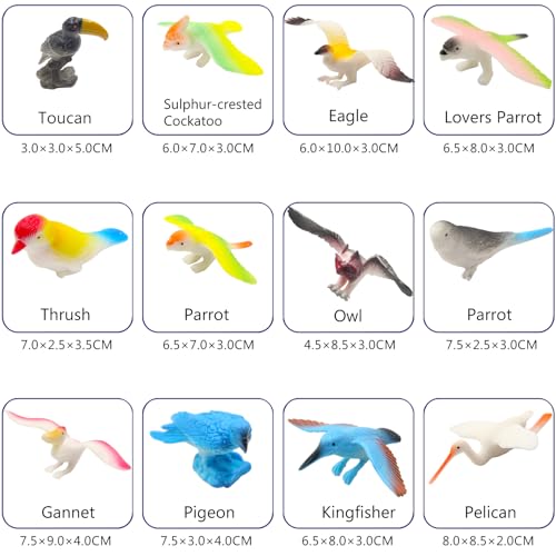 PINOWU Birds Figurines 12pcs Realistic Eagle Parrot Toucan Pigeon Owl Toy Birds Learning Educational Toys for Dollhouse Birthday Cake Topper Gift for Kids Toddler wStorage Bag - Image 5