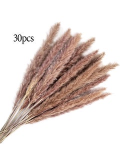 Generic 30 Pcs Small Reed Natural Dried Flower Bouquet Pampas Grass Wedding Decoration Home Decoration Store Decoration Party Decoration 