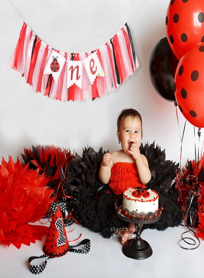HIKLO Ladybug High Chair Banner - Our Little Love Bug 1st Birthday Decorations, Ladybug First Birthday Highchair Banner, Our Little Ladybug Is Turning One Party Decor, Photo Props - Image 4