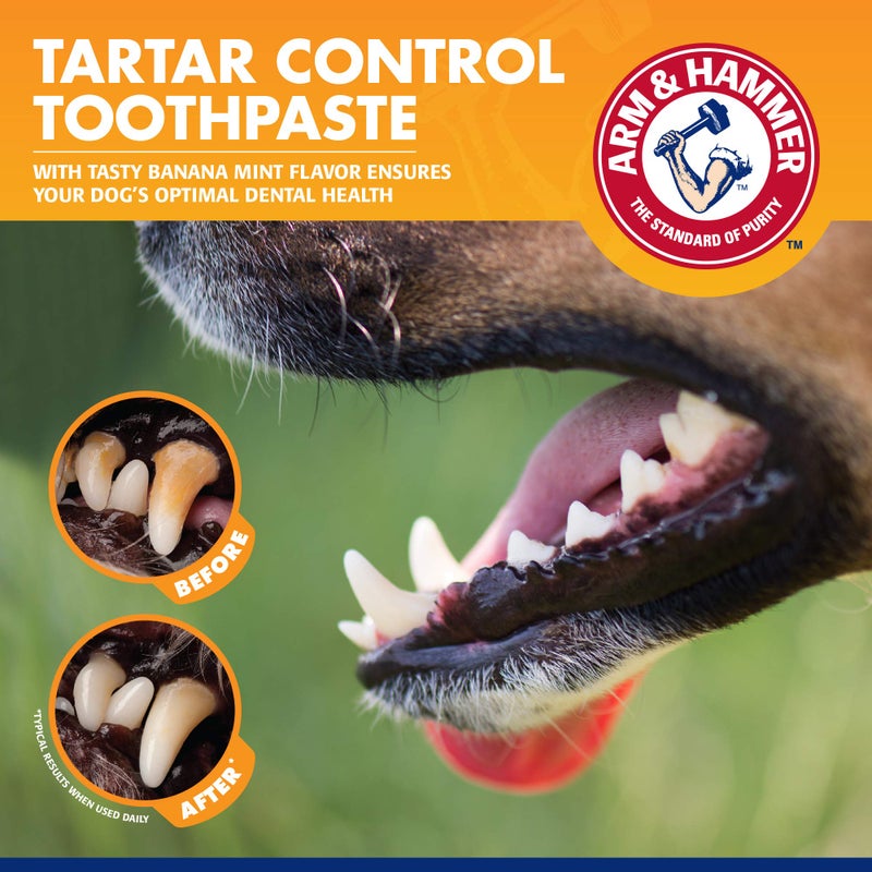 Arm & Hammer for Pets Tartar Control Kit for Dogs Contains Toothpaste, Toothbrush & Fingerbrush Reduces Plaque & Tartar Buildup, 3-Piece Kit, Banana Mint Flavor (Pack of 1) - Image 4