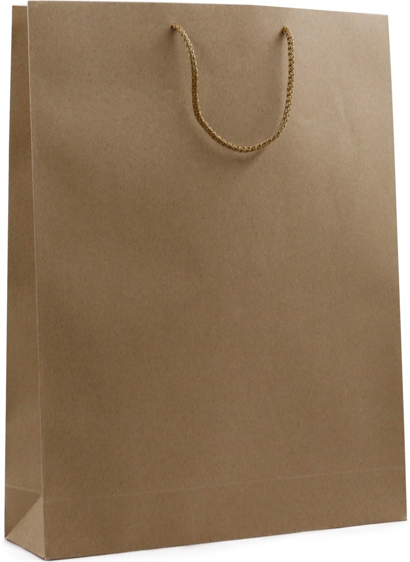 Repro Design Kraft Premium Cardboard Bag 35 x 45 x 9 cm 2 Gift Bags  - Image 1