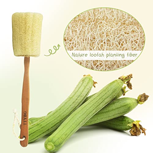 TTYBG Natural Exfoliating Loofah Luffa Loofa Back Sponge Scrubber Brush with Long Wooden Handle Stick Holder Body Shower Bath Spa Pack of 1 - Image 3