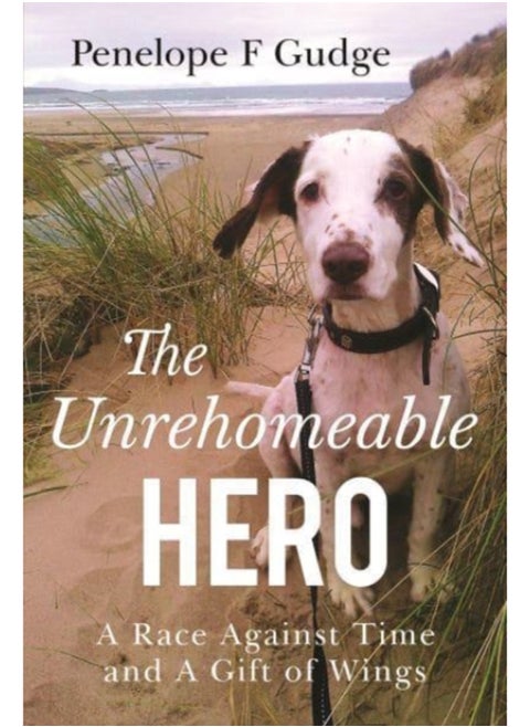 The Unrehomeable Hero, A Race Against Time & A Gift of Wings
