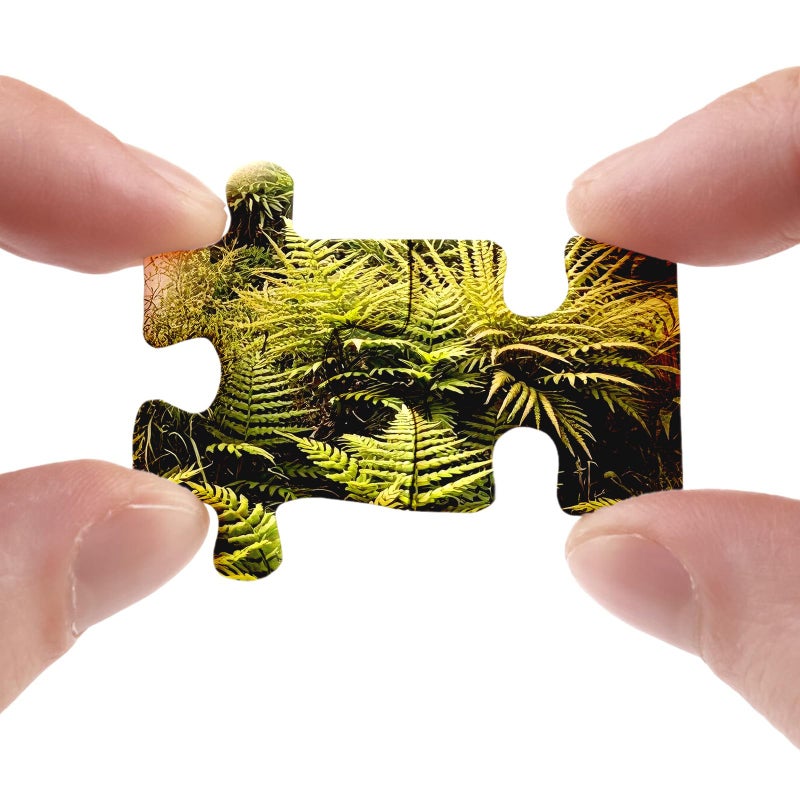 BBOLDIN Book Forest Puzzle for Adults 1000 Pieces Nature, Fantasy Plant Jigsaw Puzzle, Cozy Tree River Green Puzzle - Image 3