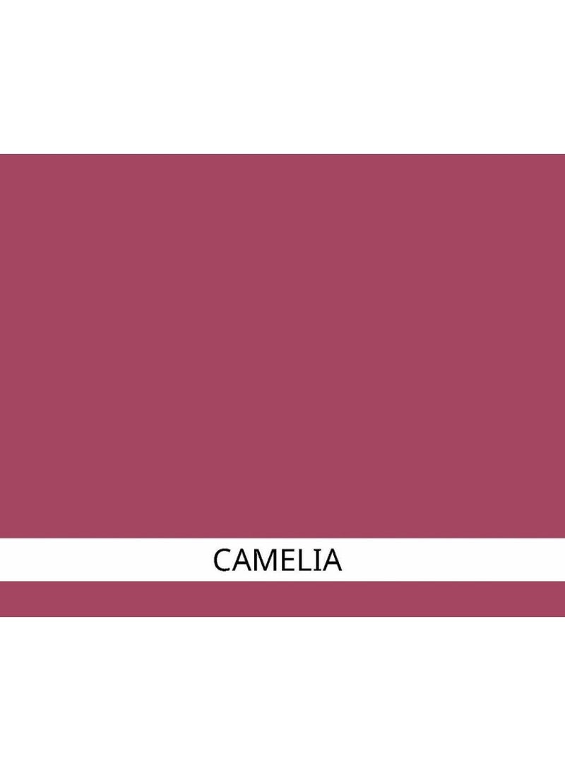 EyeCare Lipliner 28 Camelia 1.1g - Image 2
