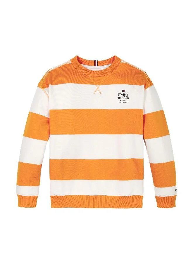 تومي هيلفيغر Youth Striped Sweatshirts