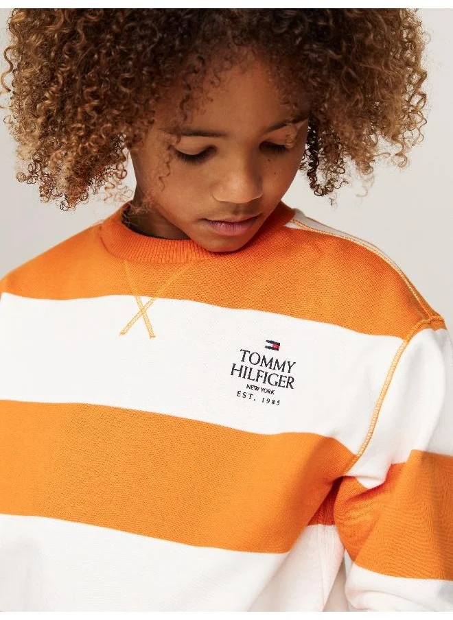 تومي هيلفيغر Youth Striped Sweatshirts