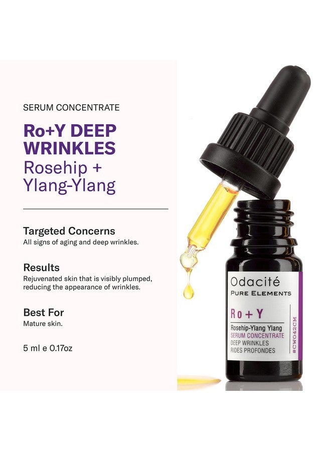 أوداسايت سيروم أوداسيتي المُركّز المُضاد للشيخوخة بخلاصة ثمر الورد واليلانغ يلانغ - سيروم خفيف الوزن للوجه، يُغذي البشرة ويُعالج الخطوط الدقيقة، ويُضفي عليها مظهرًا ممتلئًا وشبابيًا - 0.17 أونصة سائلة - Image 2